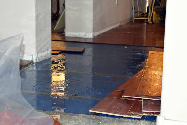 Professional Basement Flood Cleanup technician working in Denbo, PA